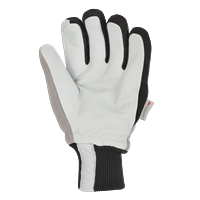 Fortdress Guanti  per le Basse Temperature POLAR FOX